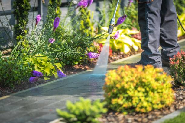 Best Roof Washing  in Mahopac, NY